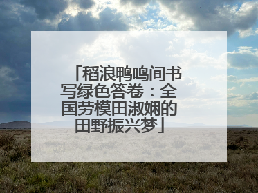 稻浪鸭鸣间书写绿色答卷：全国劳模田淑娴的田野振兴梦